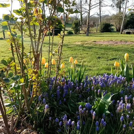 Entre Forets Et Prairies Дом отдыха