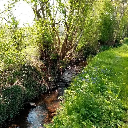 Entre Forets Et Prairies Le Cercueil