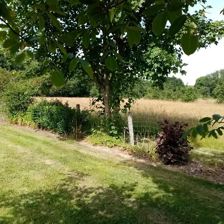 Entre Forets Et Prairies * Le Cercueil