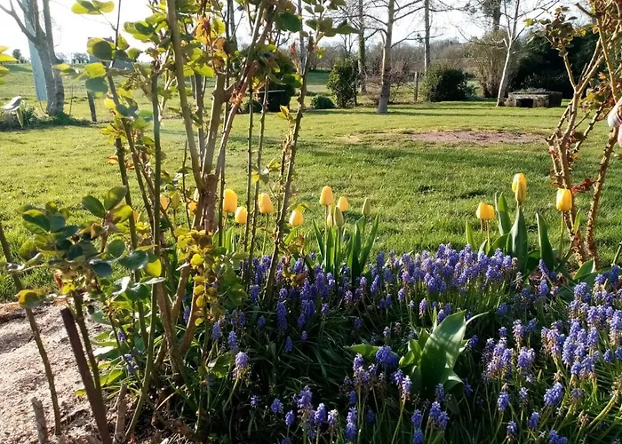 Entre Forets Et Prairies 度假居