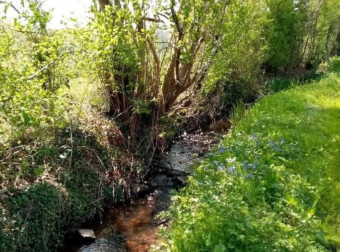 Entre Forets Et Prairies Le Cercueil